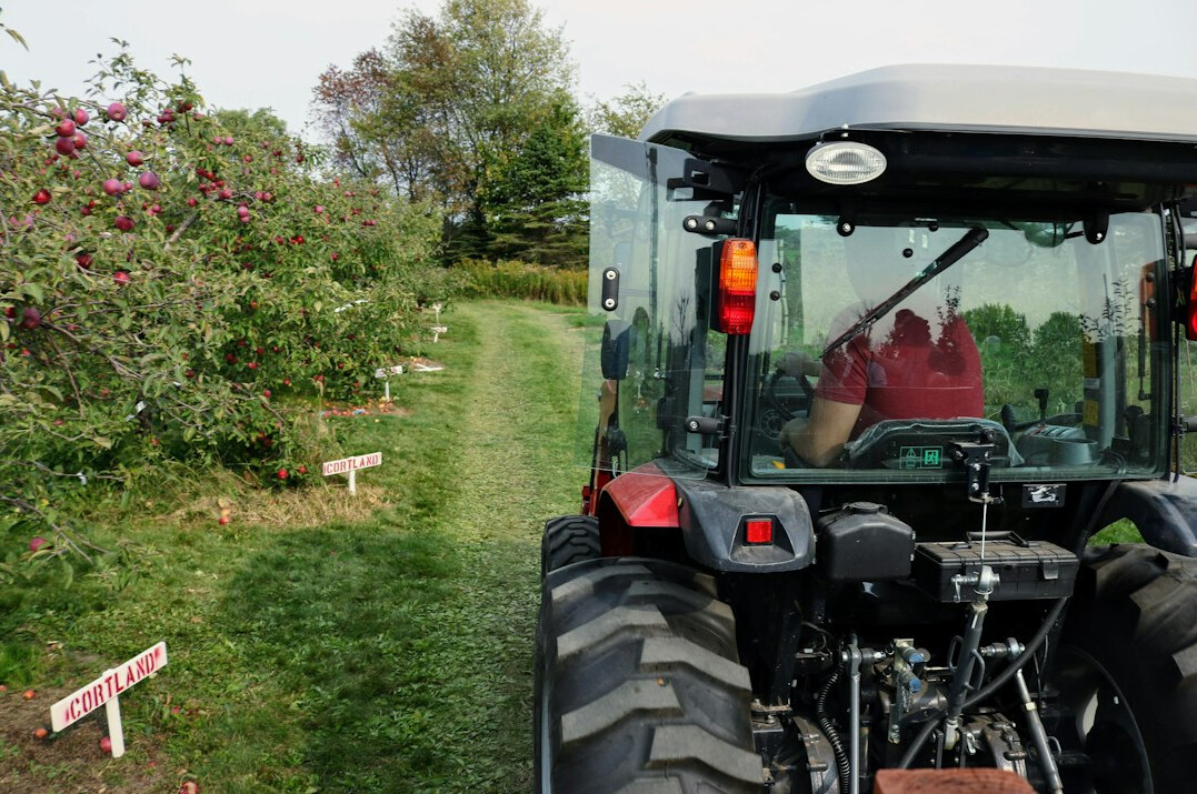 elderly man in orchard